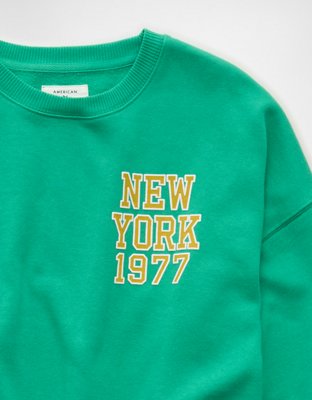 AE Graphic Crew Neck Sweatshirt | American Eagle