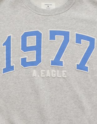 AE Graphic Crew Neck Sweatshirt | American Eagle