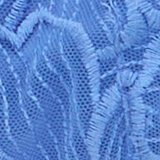 Laundry Blue