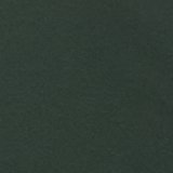 Verde místico