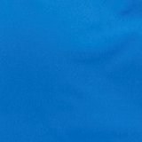 Cobalt Blue
