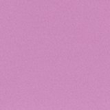 Sunset Purple