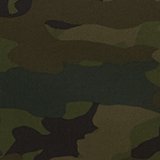 Olive Daze