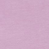 Violet Tulip
