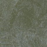 Green Olive