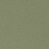 Olive Fun