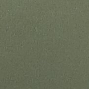 Olive Fun