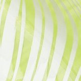Neon Green