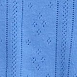 Laundry Blue
