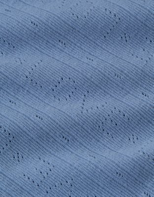 Aerie Pointelle Tank Top