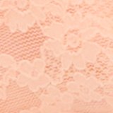 Show Off Vintage Lace Unlined Balconette Bra