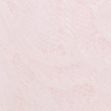 Pink Petal