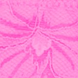 Pink Infusion