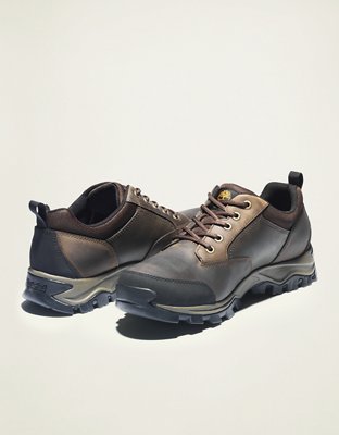 Timberland Men's Mt. Maddsen Low Waterproof Hiking Boot