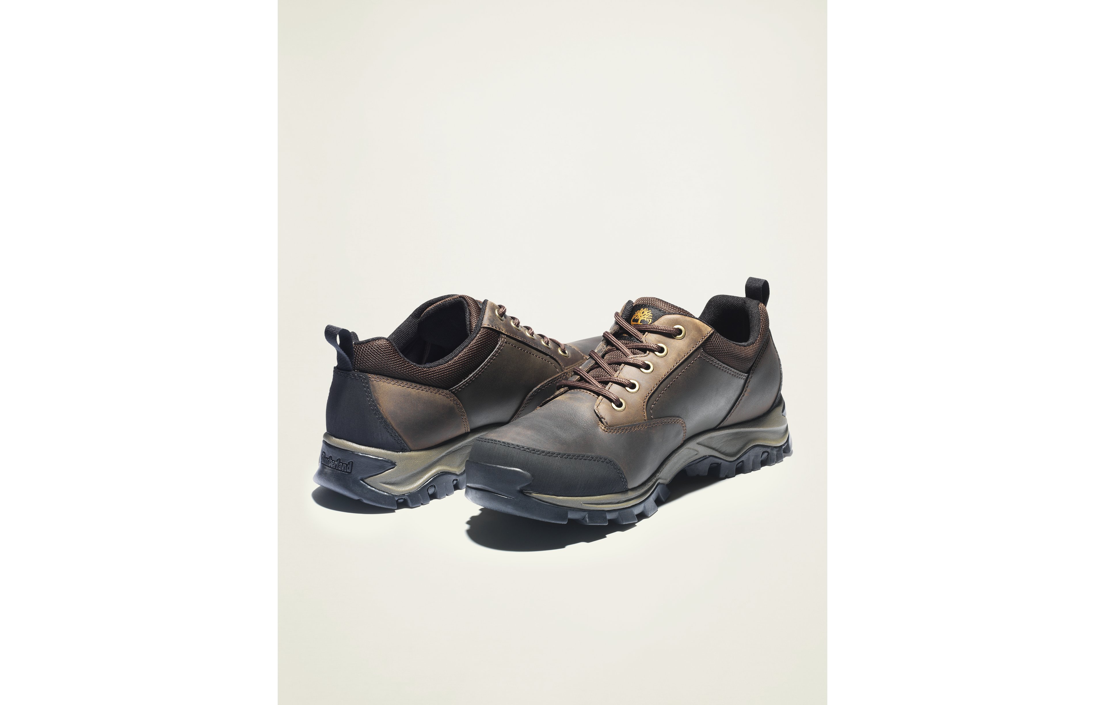 Timberland Men's Mt. Maddsen Low Waterproof Hiking Boot