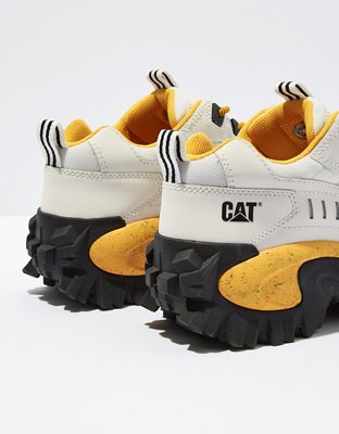 cat intruder sneakers