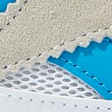 Icy Blue