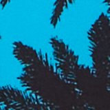 Tidal Blue