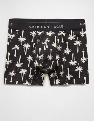 AEO Men's 4.5" Classic Boxer Brief from American Eagle - $11.96