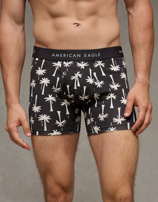 AEO Men's 4.5" Classic Boxer Brief from American Eagle - $14.35