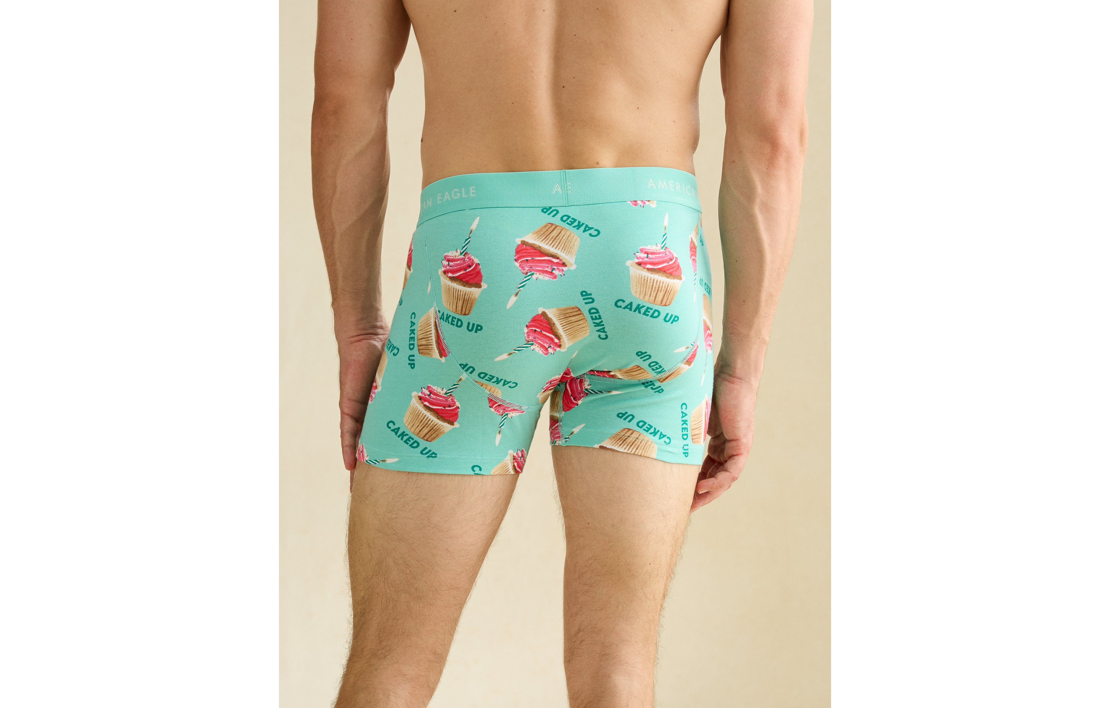 AEO Men's Food 4.5" Classic Boxer Brief