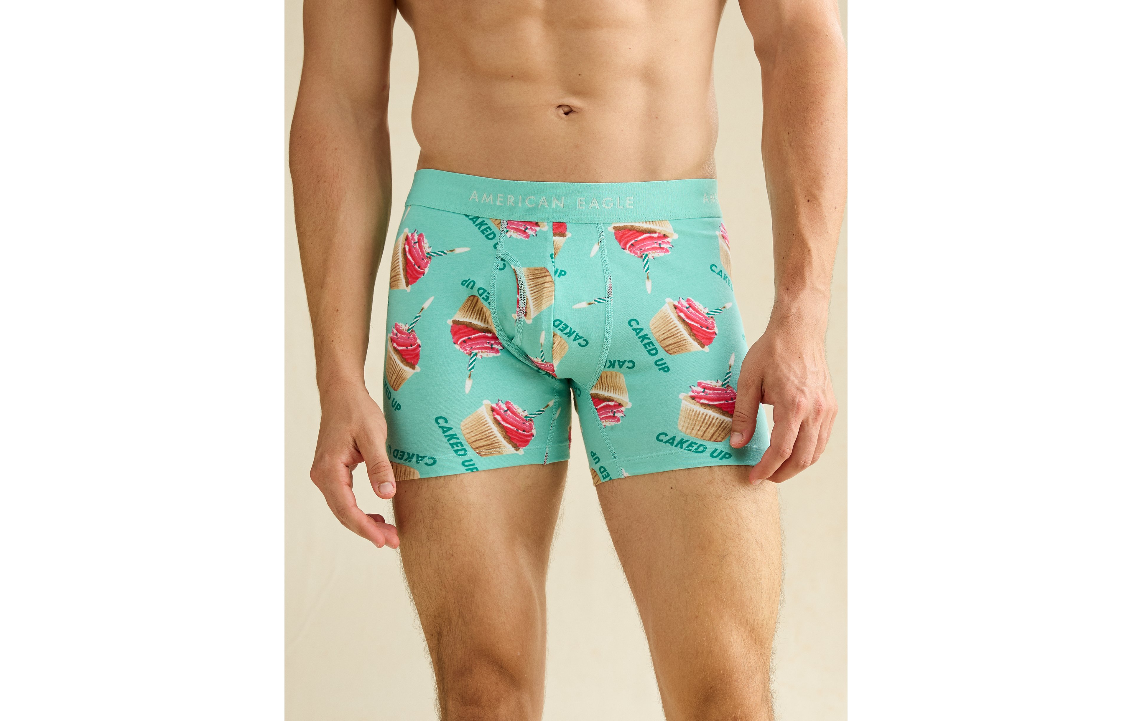 AEO Men's Food 4.5" Classic Boxer Brief