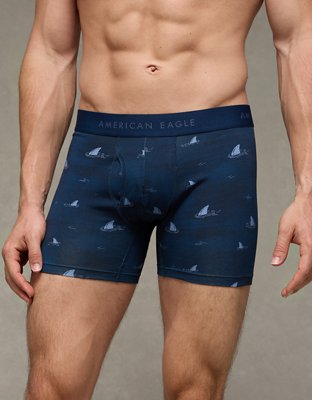 AEO Men's 4.5" Classic Boxer Brief from American Eagle - $11.96
