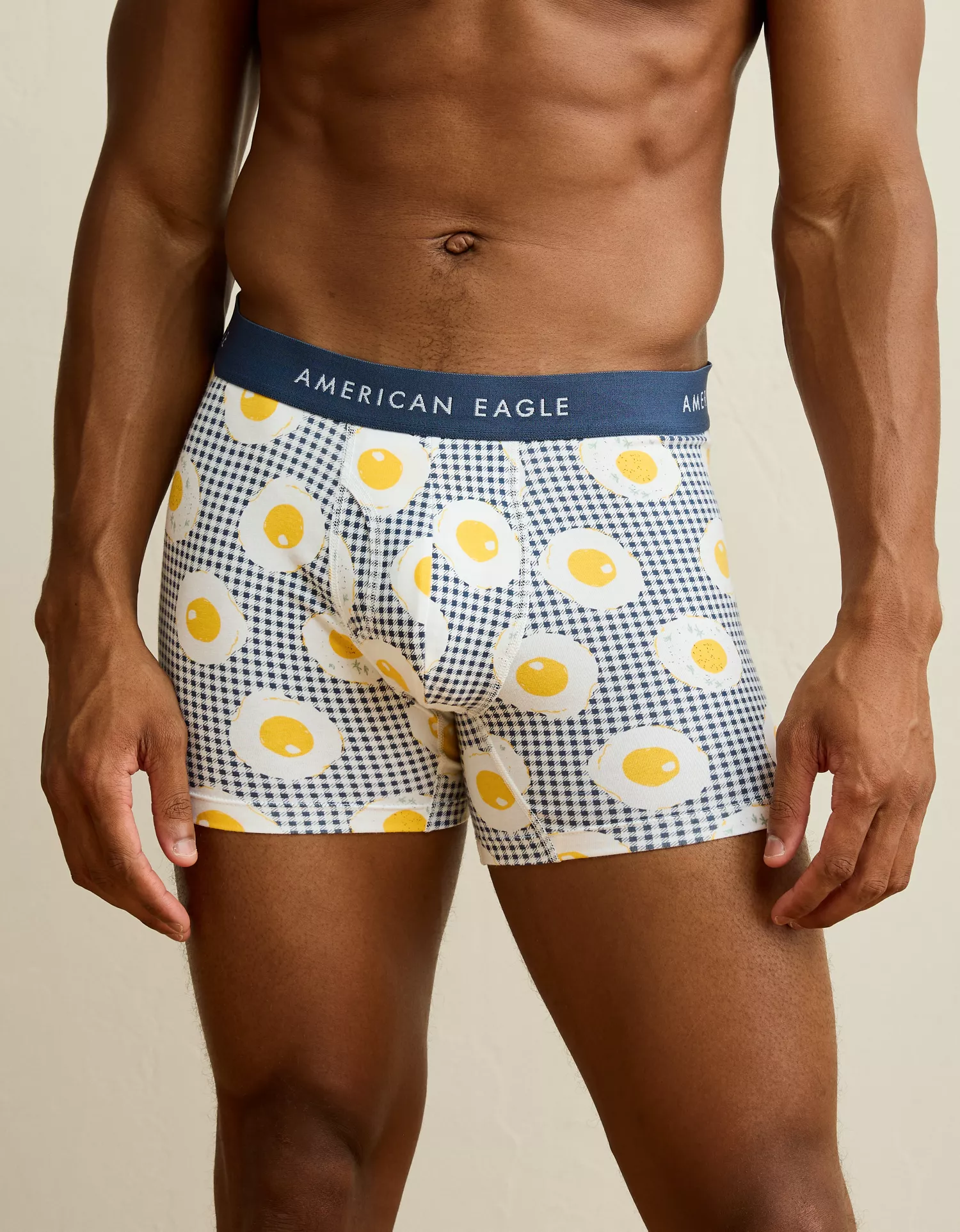 AEO Men's Food 4.5" Classic Cotton Boxer Brief