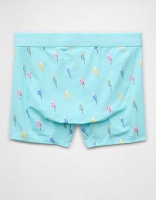 AEO Men's 4.5" Classic Boxer Brief