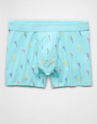 AEO Men's 4.5" Classic Boxer Brief