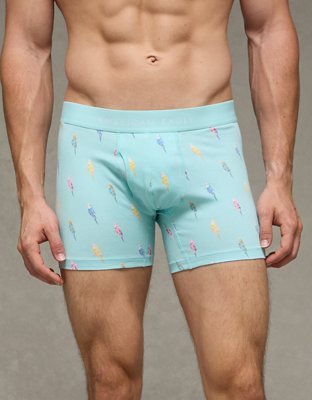 AEO Men's 4.5" Classic Boxer Brief from American Eagle - $11.96