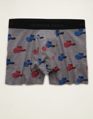 AEO Men's 4.5" Classic Boxer Brief