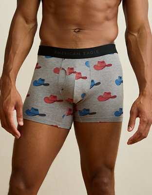 AEO Men's 4.5" Classic Boxer Brief