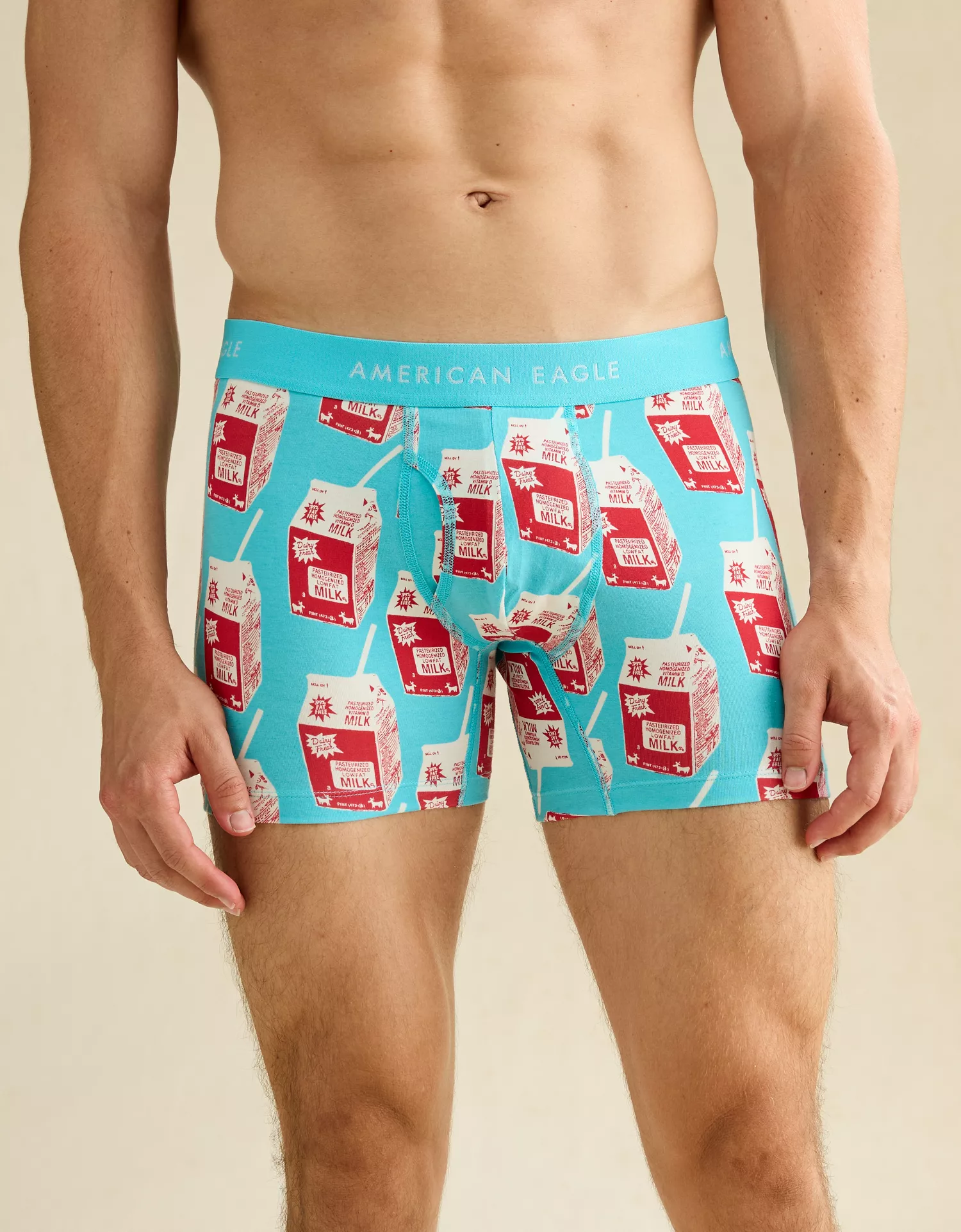 AEO Men's Food 4.5" Classic Cotton Boxer Brief - thumbnail 6