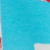 Aqua