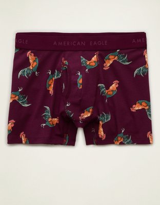 AEO Men's 4.5" Classic Boxer Brief