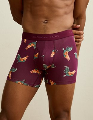 AEO Men's 4.5" Classic Boxer Brief