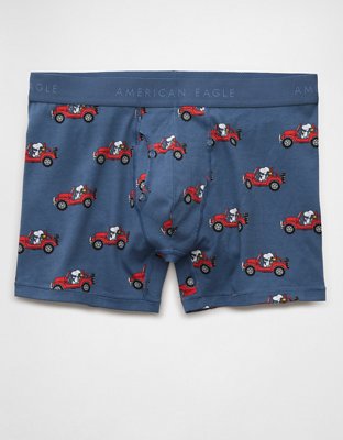 AEO Men's 4.5" Classic Boxer Brief