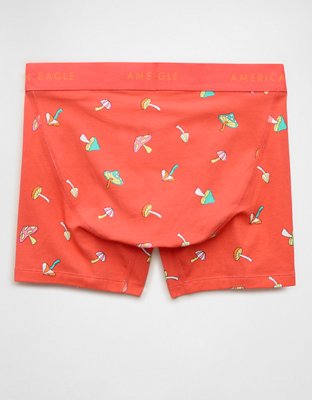 AEO Men's 4.5" Classic Boxer Brief