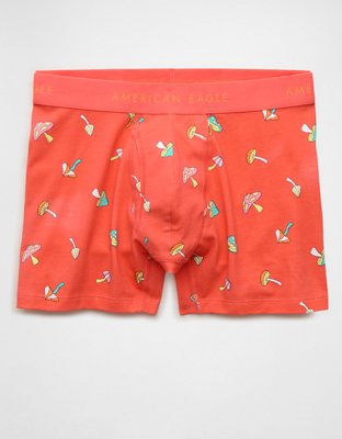 AEO Men's 4.5" Classic Boxer Brief from American Eagle - $7.97