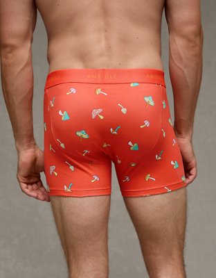 AEO Men's 4.5" Classic Boxer Brief