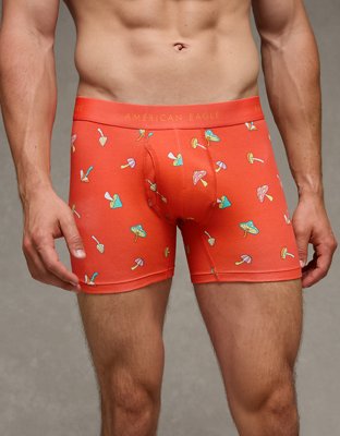 AEO Men's 4.5" Classic Boxer Brief from American Eagle - $7.97