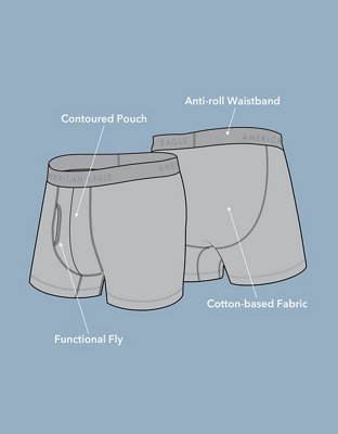AEO Men's 4.5" Classic Cotton Boxer Brief