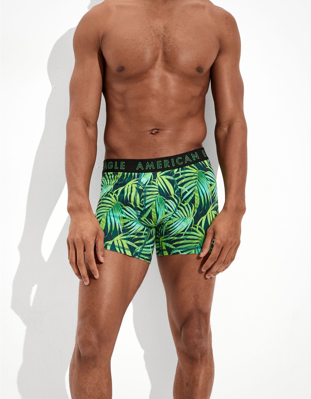 AEO Palm Leaves 4.5" Classic Boxer Brief