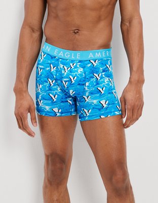 AEO Shadow Eagle 4.5" Classic Boxer Brief