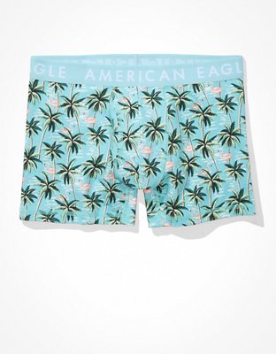 AEO Flamingo 4.5" Classic Boxer Brief