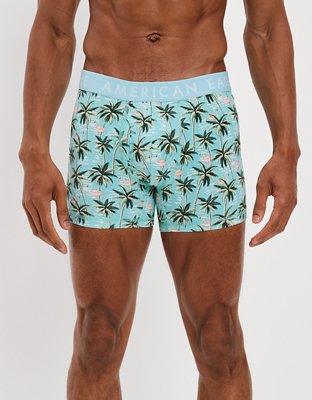 AEO Flamingo 4.5" Classic Boxer Brief