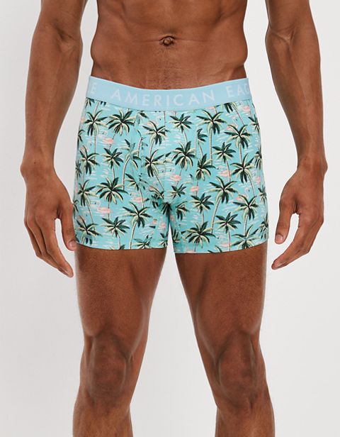 Трусы-боксеры AEO Flamingo Classic для мужчин — American Eagle