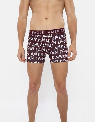 AE Chalk 4.5" Classic Boxer Brief