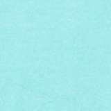 Heritage Teal